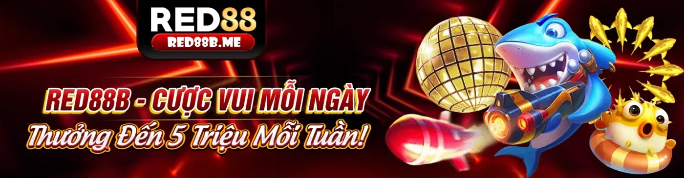 Cài đặt trình duyệt để quản lý cookie trên z58win