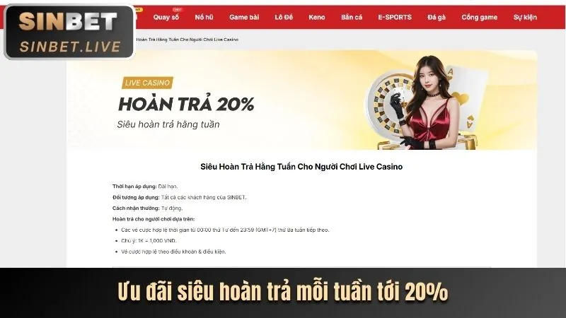 Quy trình xác minh tài khoản an toàn